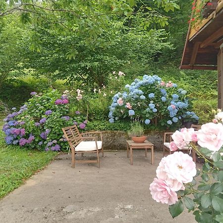Holiday Home Vesna Brod na Kupi 외부 사진