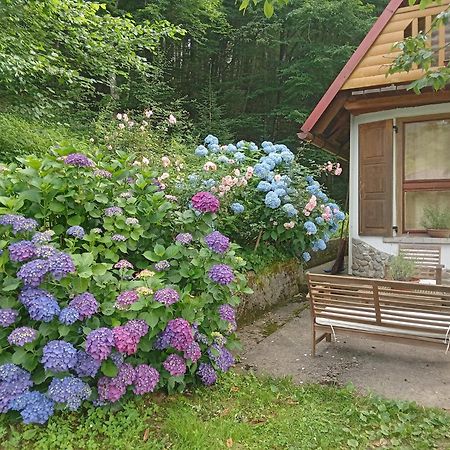 Holiday Home Vesna Brod na Kupi 외부 사진