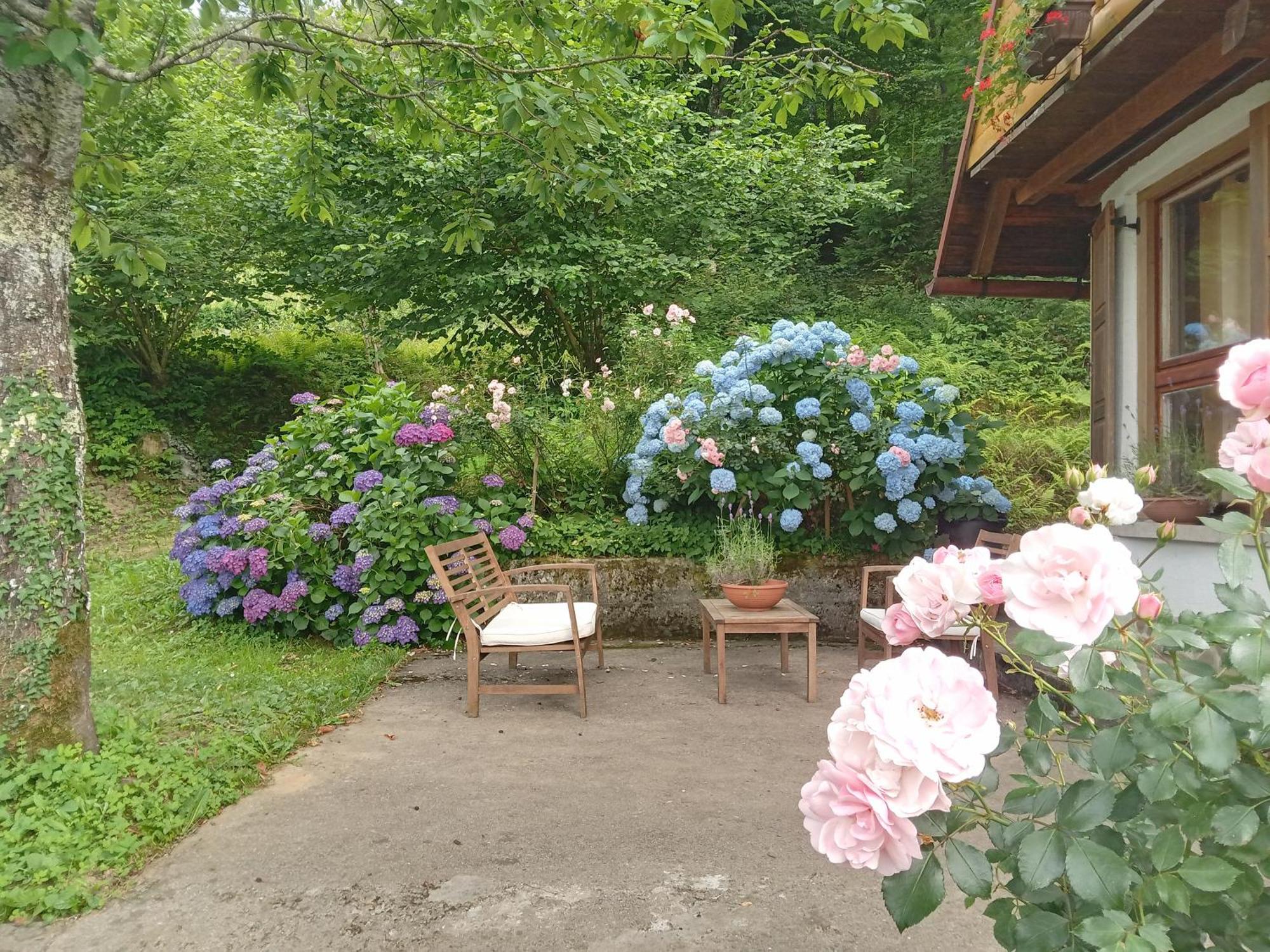 Holiday Home Vesna Brod na Kupi 외부 사진