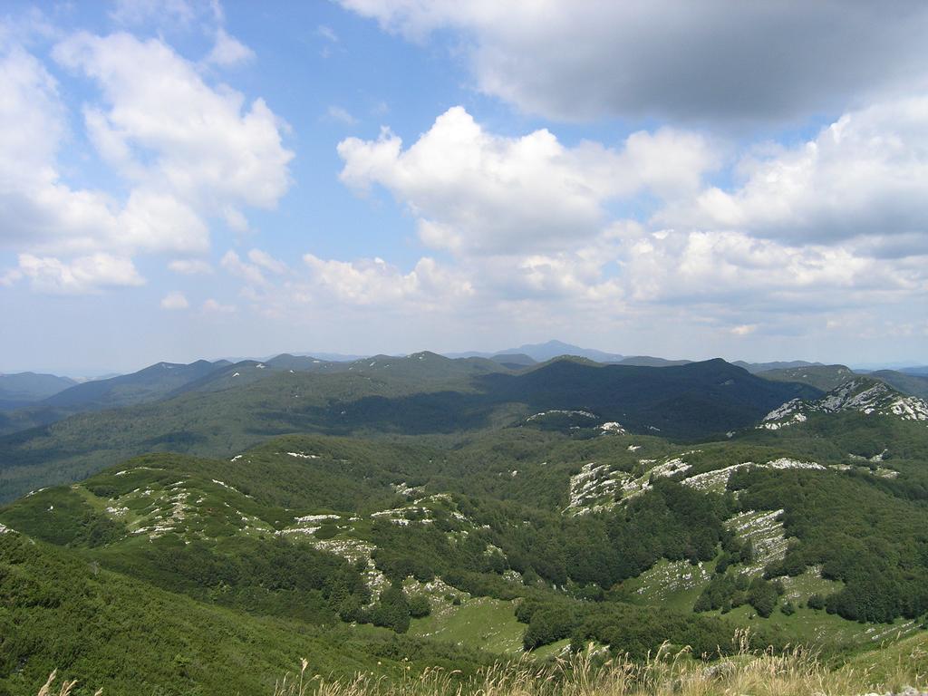 Holiday Home Vesna Brod na Kupi 외부 사진