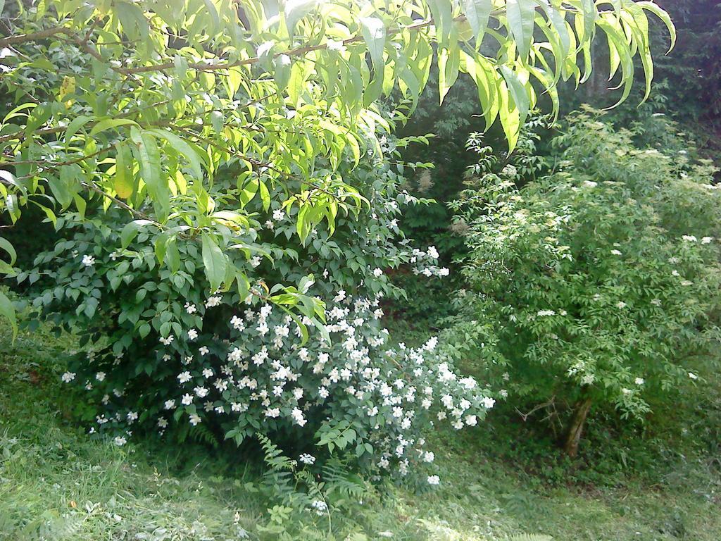 Holiday Home Vesna Brod na Kupi 객실 사진
